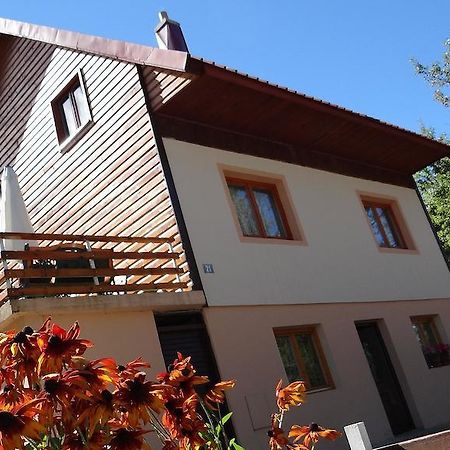 Guest House Milena Zabljak  Exterior photo